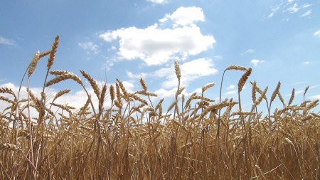 2013. 07. 14. 12:00.